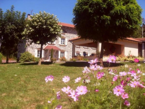 Charme du Velay : Maison de caractère avec cheminée, terrasse et équipements bébé à St-Paulien - FR-1-582-266